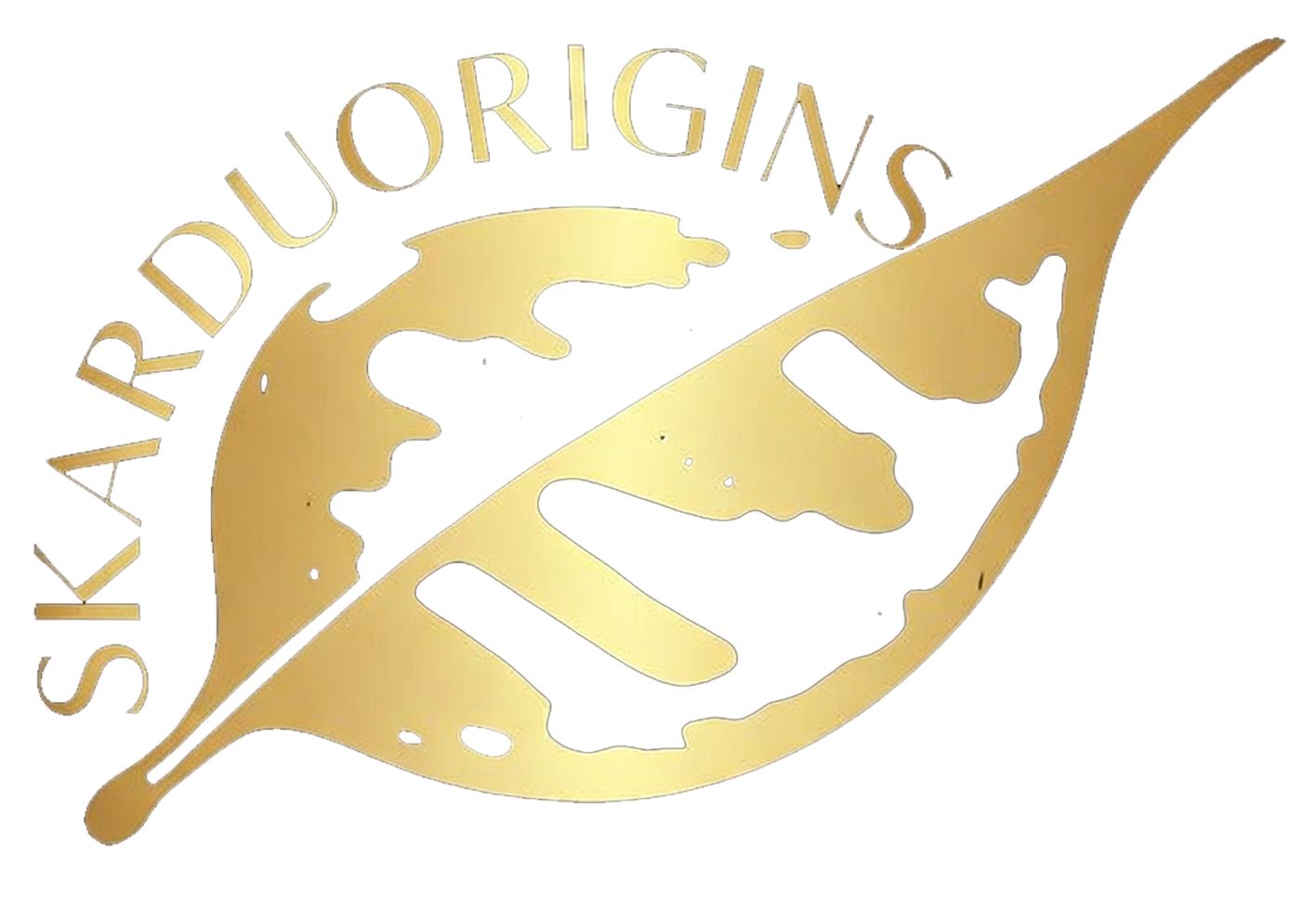 Skardu Origins