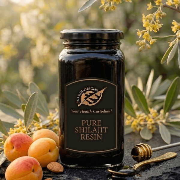 Pure Shilajit Resin — organic product from Skardu Origins